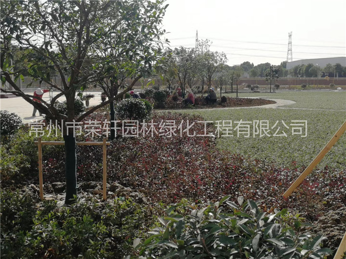 常州西瑪特電器養(yǎng)護